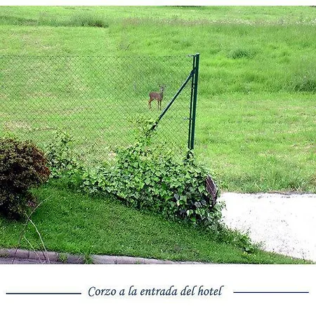 Foronda 2* Pando (Asturias)