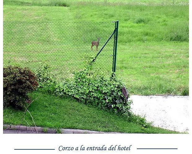 Foronda 2* Pando (Asturias)